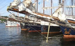Traditionssegler Hanse Sail